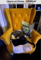 Fotel uszak Lily w stylu skandynawskim - zdjęcie od klienta