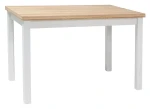 Stół Adam 100x60 dąb/biały mat