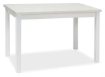Stół Adam 100x60 biały mat