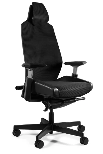 Fotel ergonomiczny do biurka Ronin czarny/siatka czarny