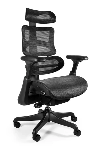 Fotel ergonomiczny siatkowy Ergothrone czarny