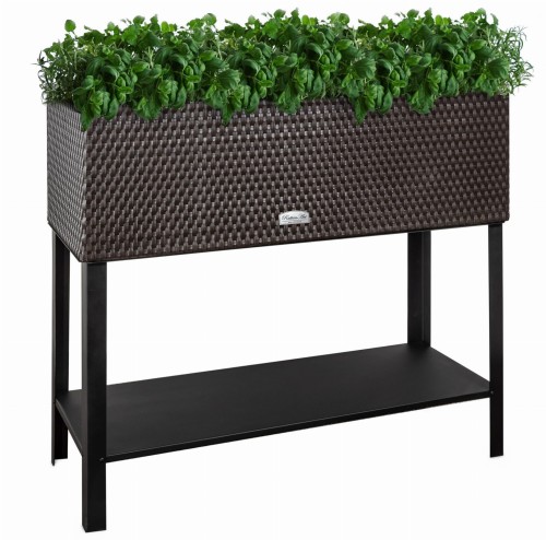 Ziołownik Rattan