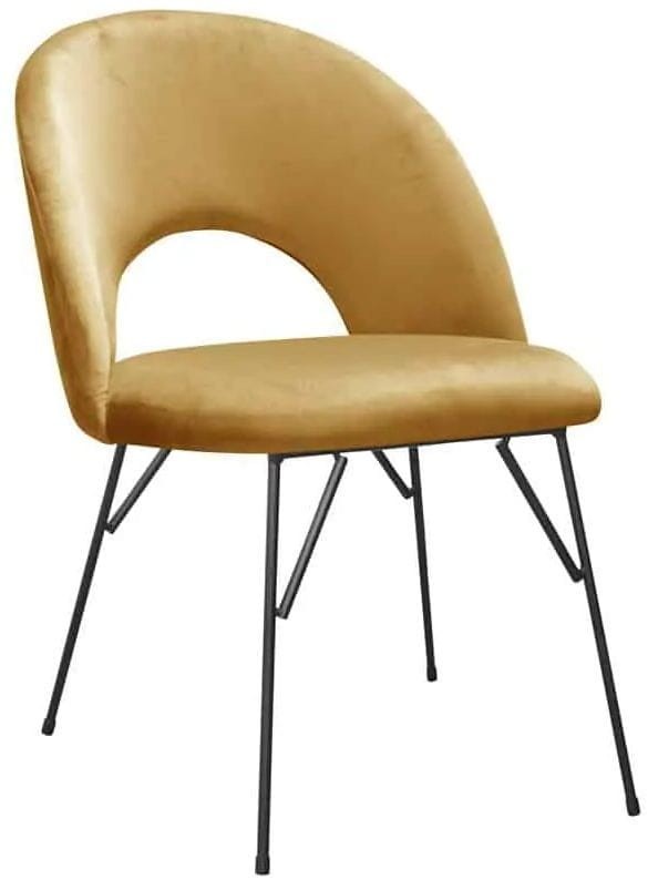 Abisso-spider-fresh-37