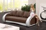 Sofa tapicerowana rozkładana Cher inari 27 + Soft 017
