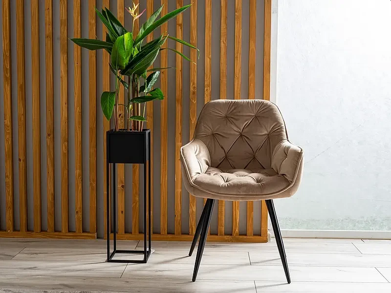 Krzesło tapicerowane Cherry Velvet beż Bluvel 28