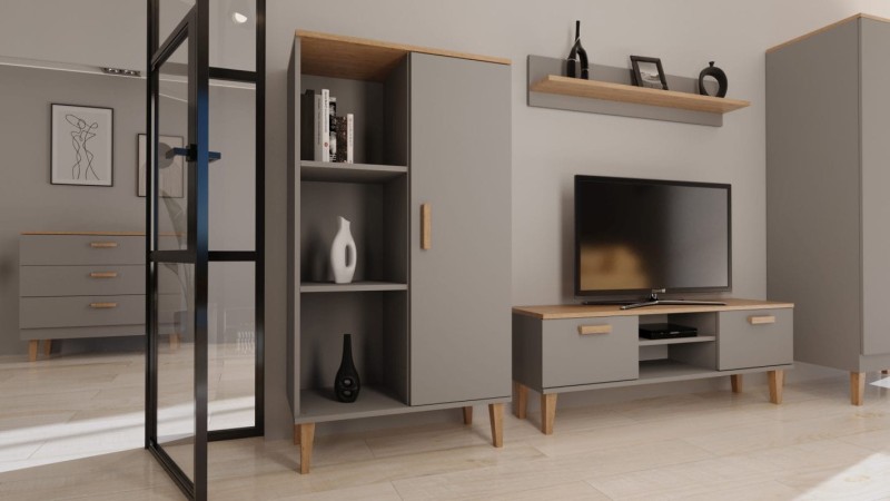 Szafka RTV Denver 120 cm | Szary chinchilla + hikora