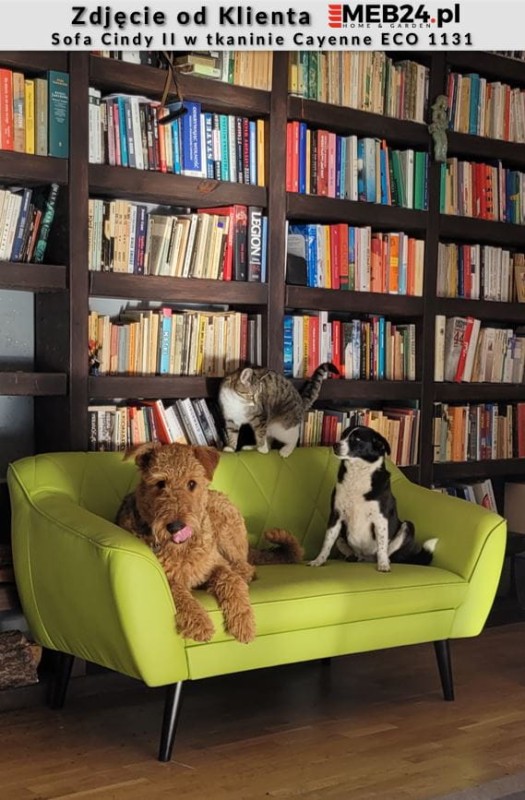 Sofa tapicerowana Cindy II w stylu skandynawskim - zdjęcie od klienta