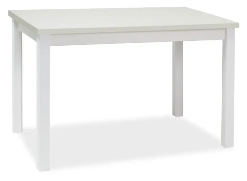 Stół Adam 100x60 biały mat