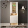 Witryna VISION 04 60 cm z LED biały/wotan mat/połysk