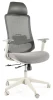 Fotel obrotowy ergonomiczny Ergon szary