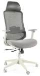 Fotel obrotowy ergonomiczny Ergon szary