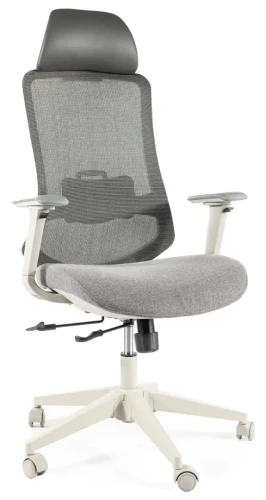 Fotel obrotowy ergonomiczny Ergon szary