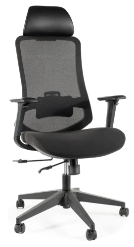 Fotel obrotowy ergonomiczny Ergon czarny