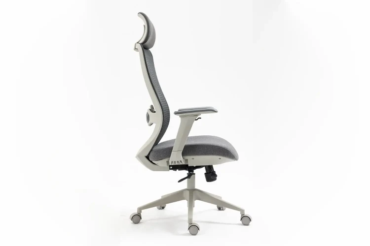 Fotel obrotowy ergonomiczny Ergon szary