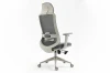 Fotel obrotowy ergonomiczny Ergon szary