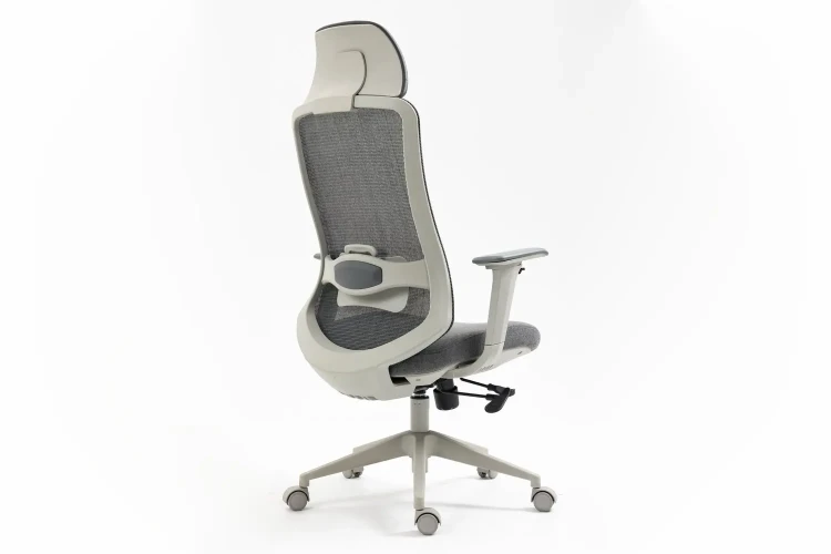 Fotel obrotowy ergonomiczny Ergon szary