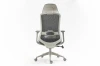 Fotel obrotowy ergonomiczny Ergon szary