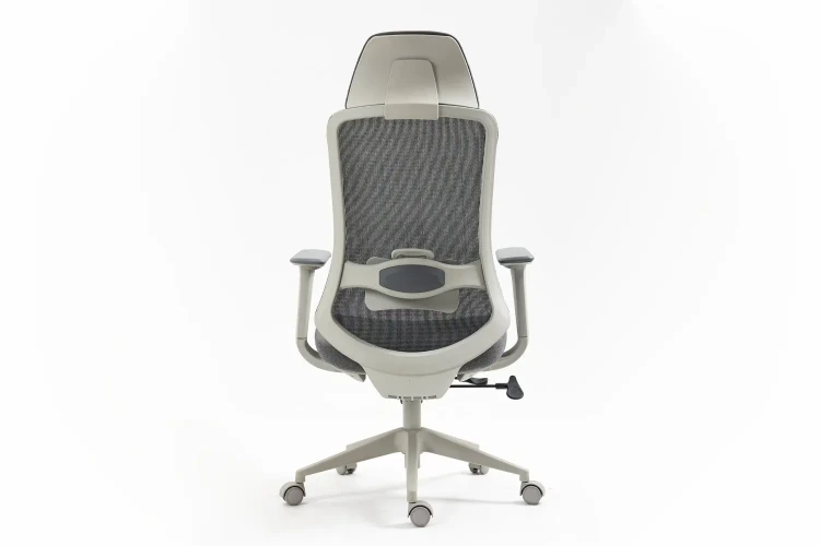 Fotel obrotowy ergonomiczny Ergon szary