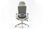 Fotel obrotowy ergonomiczny Ergon szary
