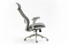 Fotel obrotowy ergonomiczny Ergon szary