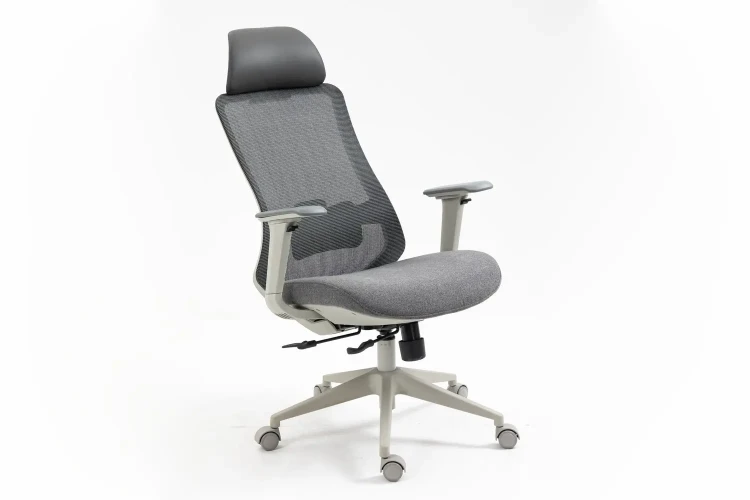 Fotel obrotowy ergonomiczny Ergon szary