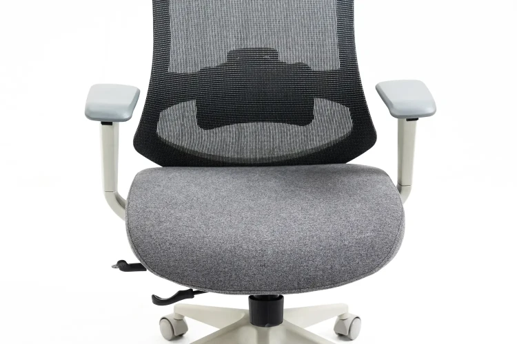 Fotel obrotowy ergonomiczny Ergon szary