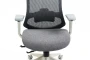 Fotel obrotowy ergonomiczny Ergon szary