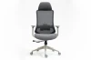 Fotel obrotowy ergonomiczny Ergon szary