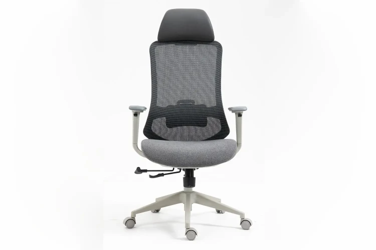 Fotel obrotowy ergonomiczny Ergon szary