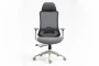 Fotel obrotowy ergonomiczny Ergon szary