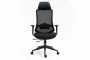 Fotel obrotowy ergonomiczny Ergon czarny