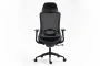 Fotel obrotowy ergonomiczny Ergon czarny