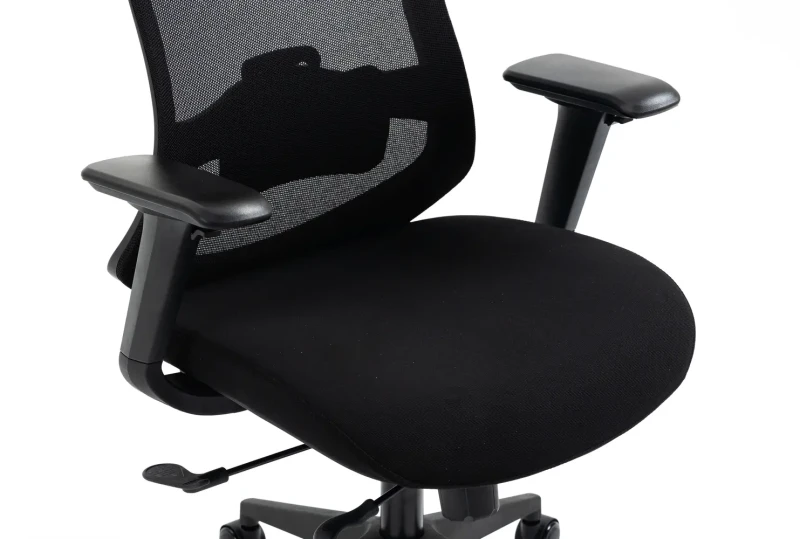 Fotel obrotowy ergonomiczny Ergon czarny