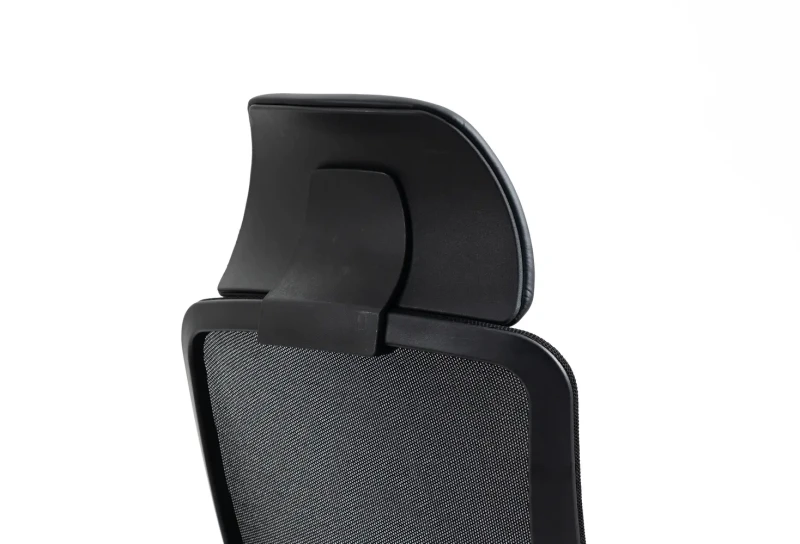 Fotel obrotowy ergonomiczny Ergon czarny