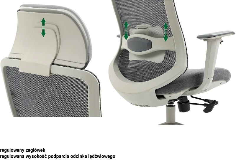 Fotel obrotowy ergonomiczny Ergon czarny