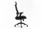 Fotel obrotowy ergonomiczny Ergon czarny