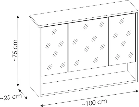 Szafka łazienkowa z lustrem 100 cm BORNEO szary cosmos / dąb artisan