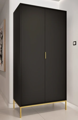 Szafa Austin 100 cm dwudrzwiowa do przedpokoju czarny/złoty