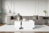 Stolik kawowy Forma 30x60 cm ława z otwieranym blatem do salonu bianco marble