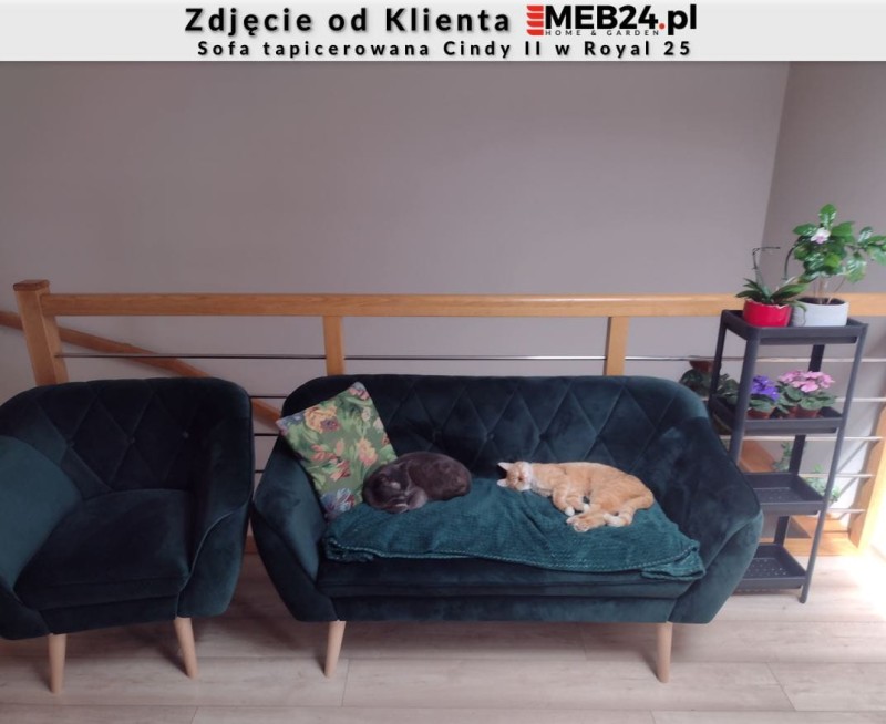 Sofa tapicerowana Cindy II w stylu skandynawskim - zdjęcie od klienta