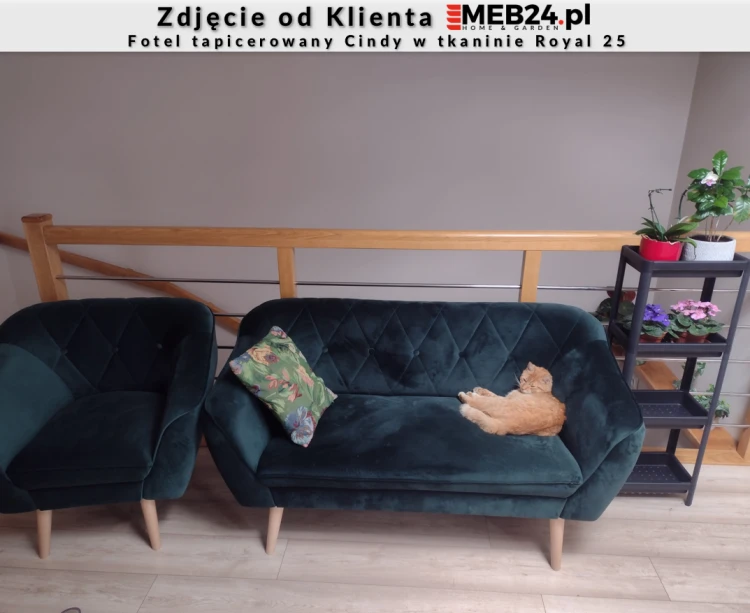 Fotel tapicerowany Cindy w stylu skandynawskim - zdjęcie od klienta