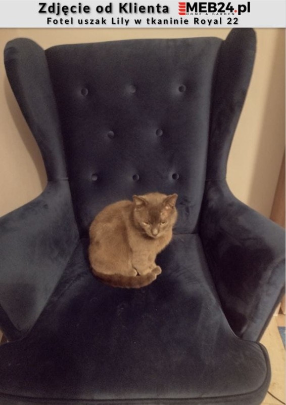 Fotel uszak Lily - zdjęcie od klienta