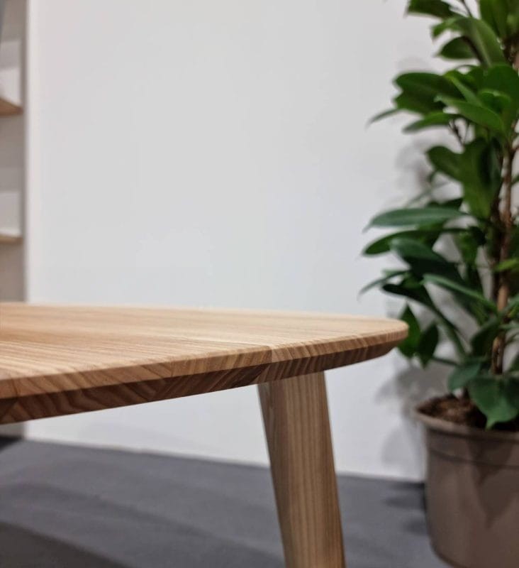 Stolik kawowy ENDOCARP 80x48 cm | Jesion