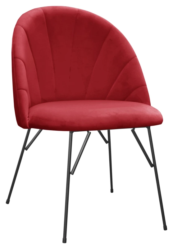 Ariana spider, fresh 8