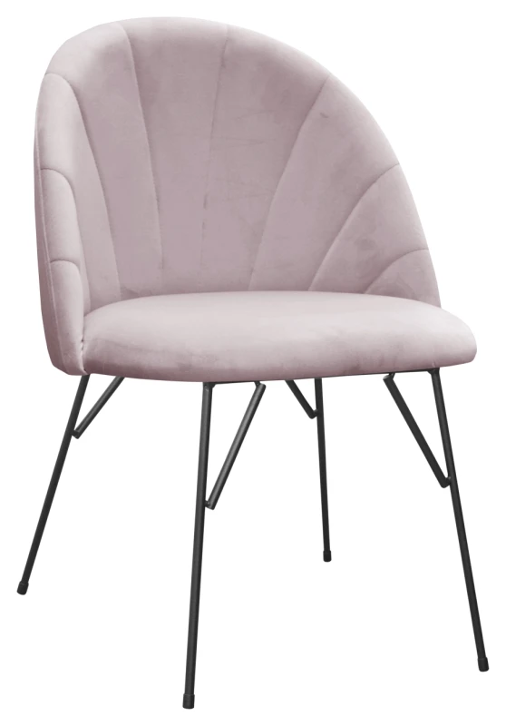 Ariana spider, fresh 9