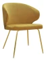 Atlanta ideal gold fresh37