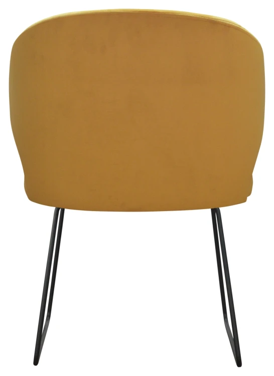 Krzesło Atlanta Ski
