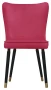 Krzesło Monti, French Velvet 661, czarny + złote końce