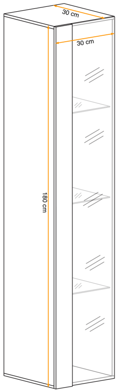 Witryna Switch WW 1 wisząca wysoka do salonu
