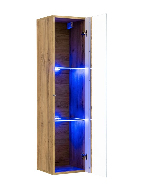 Witryna Switch WW 2 wisząca do salonu wotan